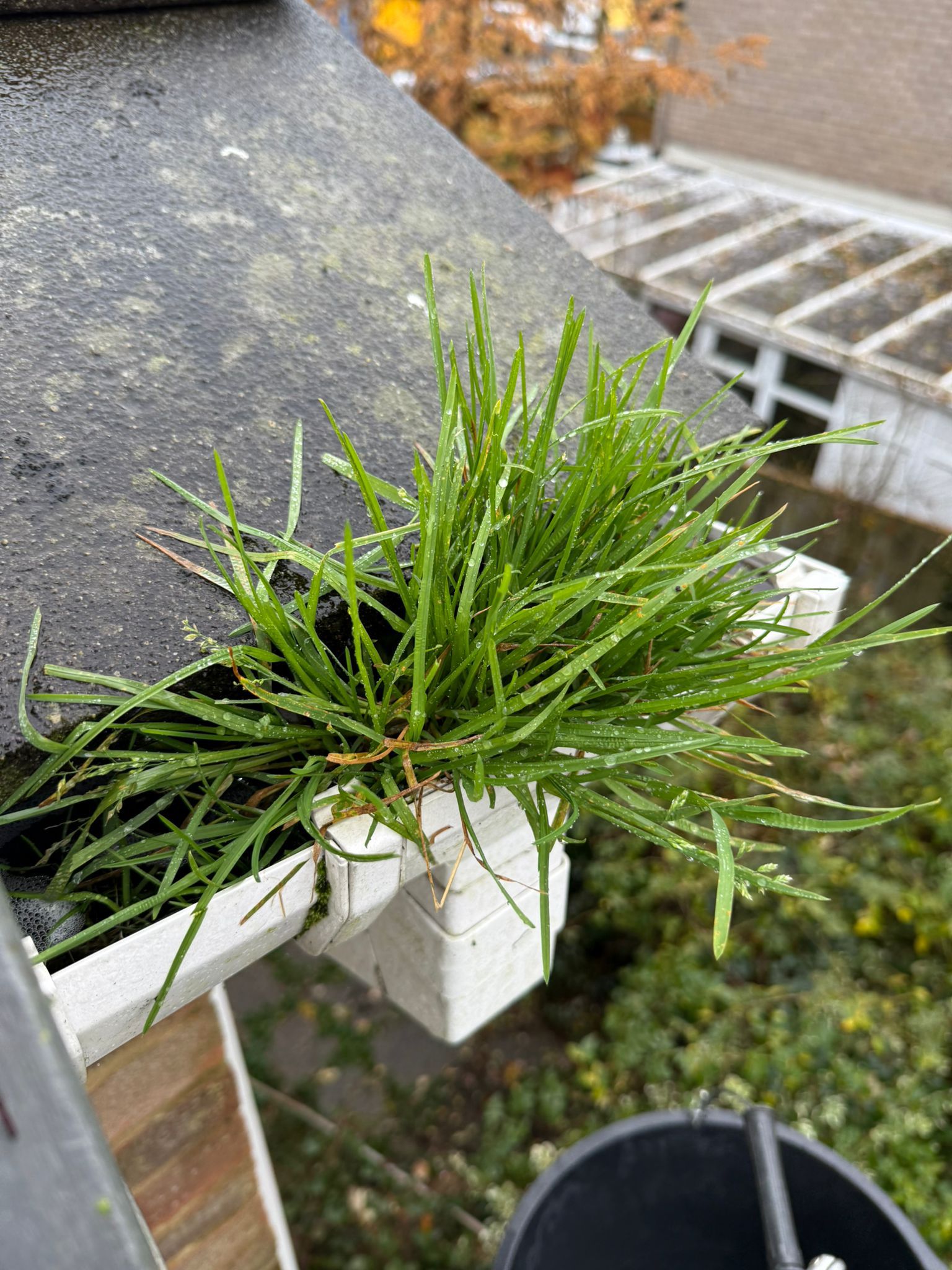 Blocked gutter downpipe in Camberley